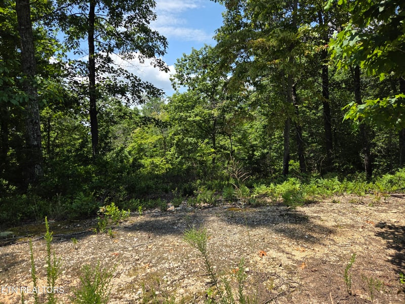 391 Thief Neck View Dr, Rockwood, TN 37854