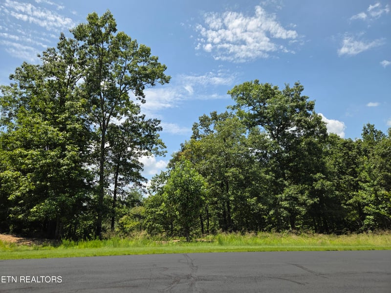 391 Thief Neck View Dr, Rockwood, TN 37854