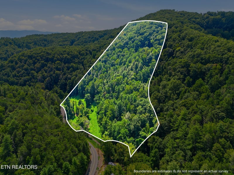 3910 Wilhite Rd, Sevierville, TN 37876