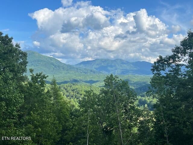 3912 Patriot Ln, Sevierville, TN 37862
