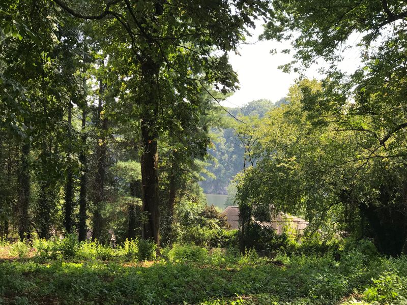 3912 Wilani Rd, Knoxville, TN 37919