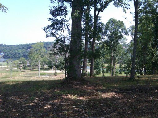 3921 Greener Ln, Louisville, TN 37777