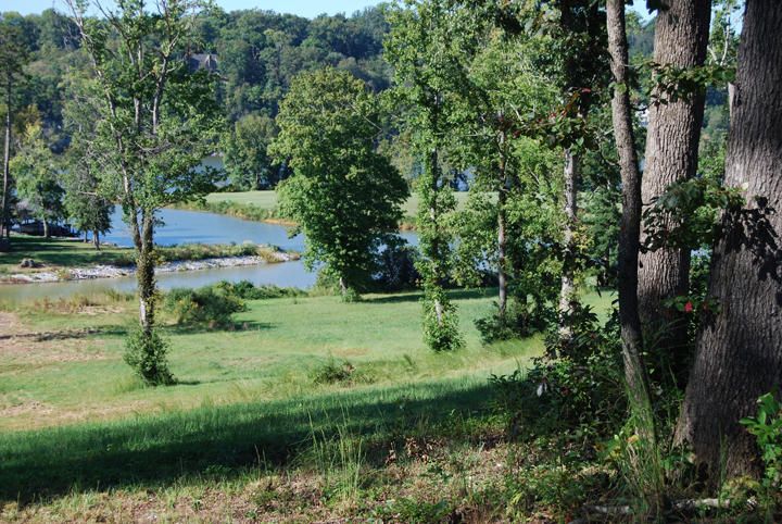 3921 Greener Ln, Louisville, TN 37777