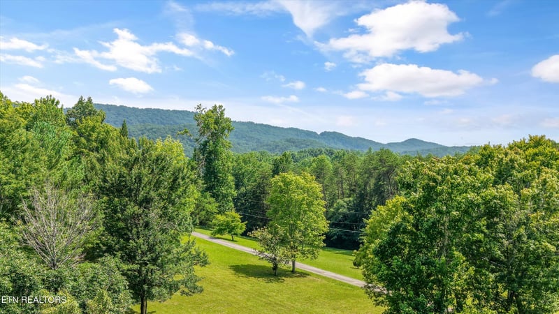 3924 Rocky Branch Rd, Walland, TN 37886