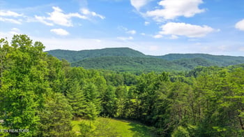 3924 Rocky Branch Rd, Walland, TN 37886
