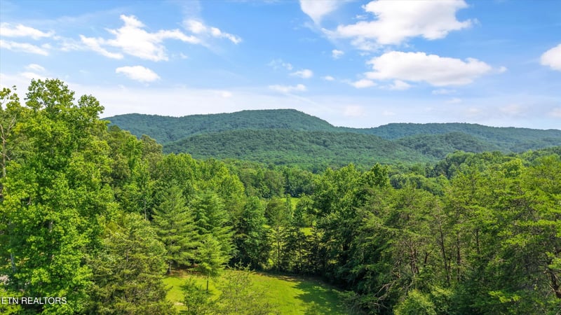 3924 Rocky Branch Rd, Walland, TN 37886