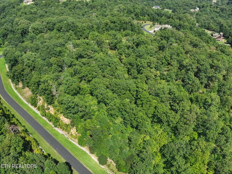 393 W Mountain Dr, Rockwood, TN 37854