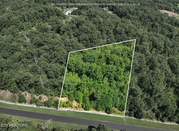 393 W Mountain Dr, Rockwood, TN 37854