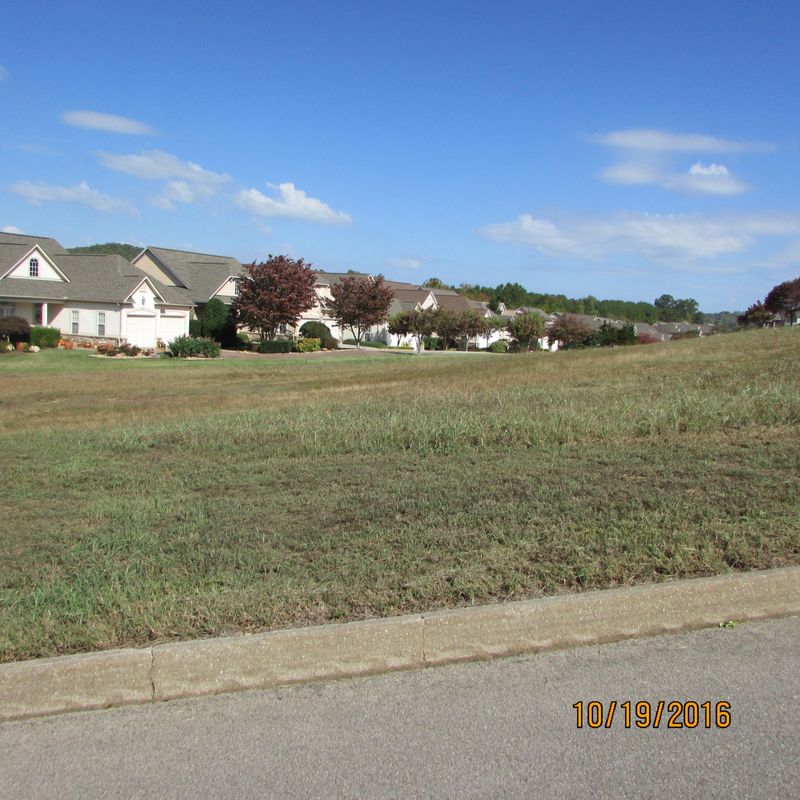 395 Pineberry Dr, Vonore, TN 37885