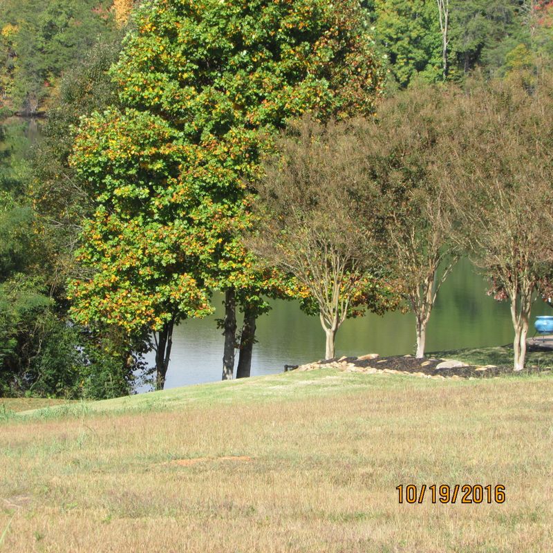 395 Pineberry Dr, Vonore, TN 37885