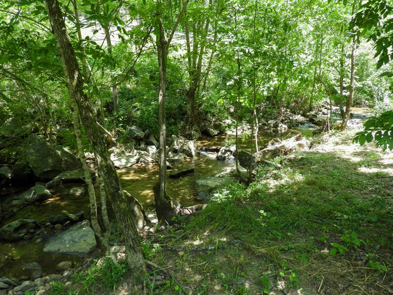 3950 Wilhite Rd, Sevierville, TN 37876