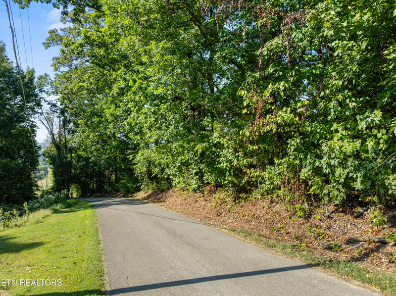 3951 Strong Rd, Mascot, TN 37806