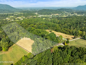 3951 Strong Rd, Mascot, TN 37806
