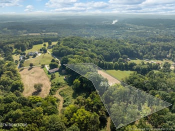 3951 Strong Rd, Mascot, TN 37806