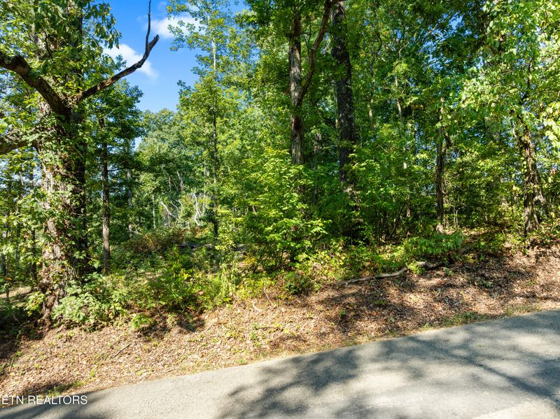 3951 Strong Rd, Mascot, TN 37806