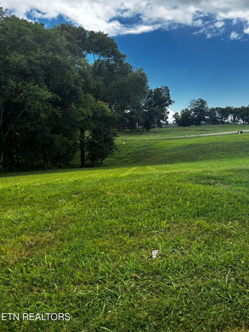 3964 Persimmon Rg, Loudon, TN 37774