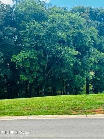 3964 Persimmon Rg, Loudon, TN 37774