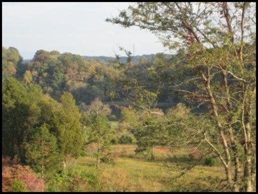 398 Rivers Edge #3, Loudon, TN 37774