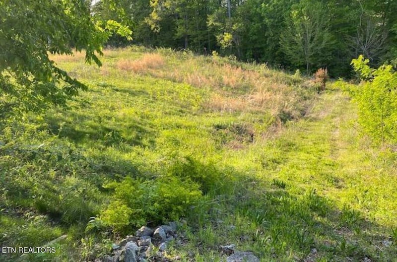 3990 Mountain Vista Rd, Knoxville, TN 37931