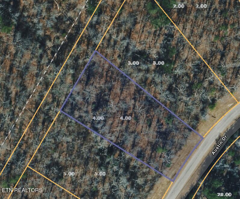 4 Austin Dr, Monterey, TN 38574