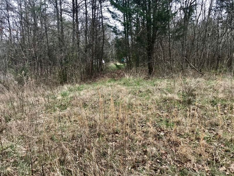 4.3 Shadden Rd, Tellico Plains, TN 37385