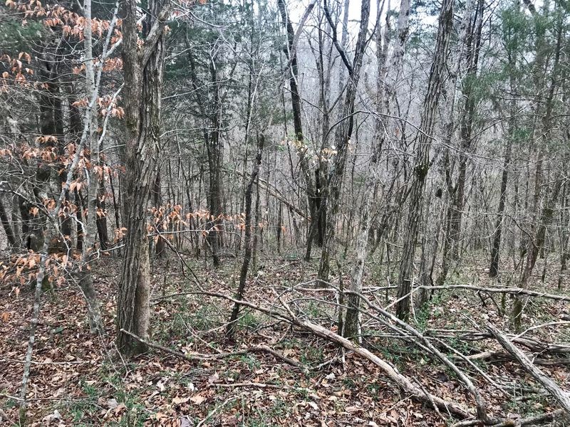 4.3 Shadden Rd, Tellico Plains, TN 37385