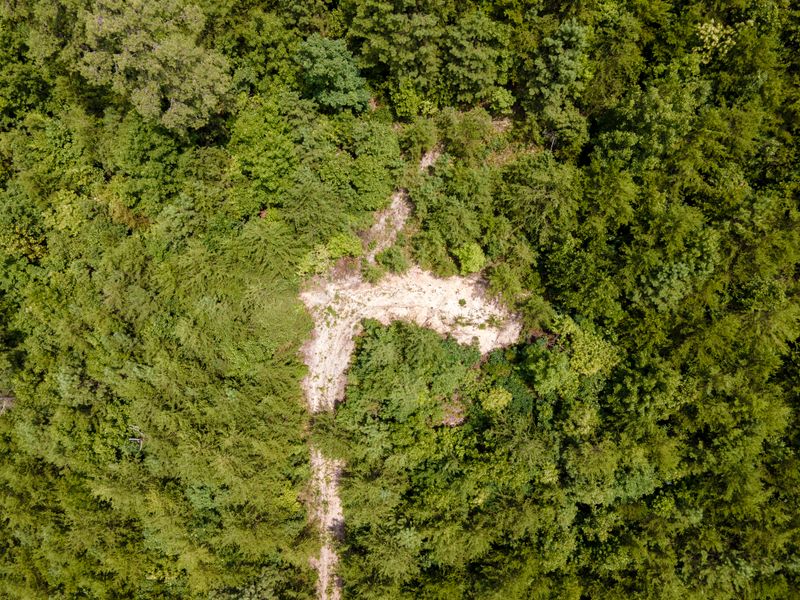 4.3 Sharp Rd, Sevierville, TN 37876