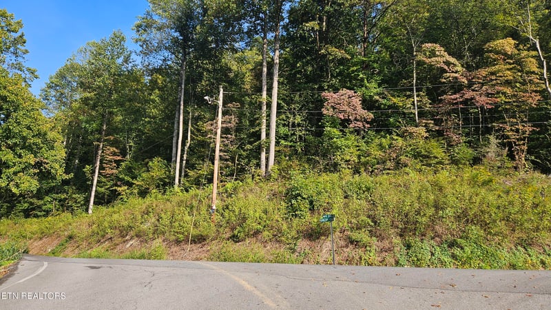 4.38 ac N Shiloh Rd, Seymour, TN 37865