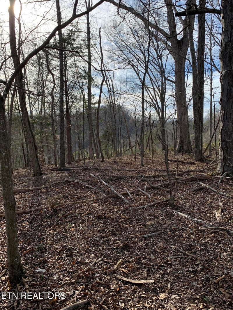4.38 ac N Shiloh Rd, Seymour, TN 37865