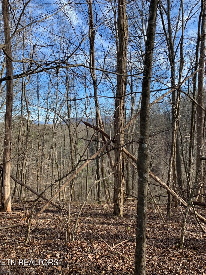4.38 ac N Shiloh Rd, Seymour, TN 37865