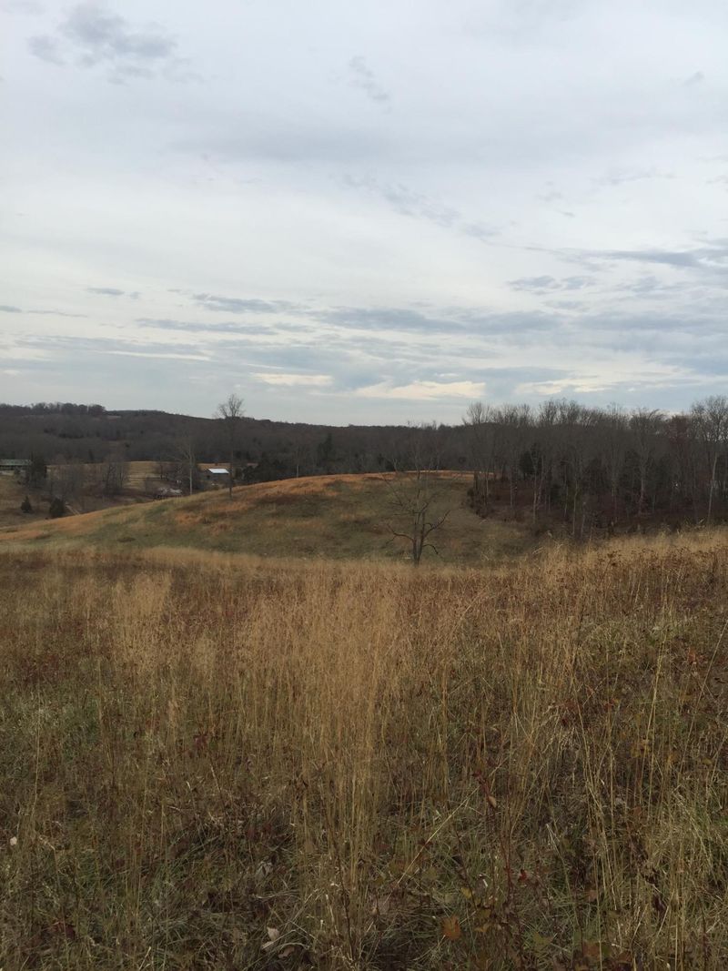 40 Ac Co Rd 282, Niota, TN 37826