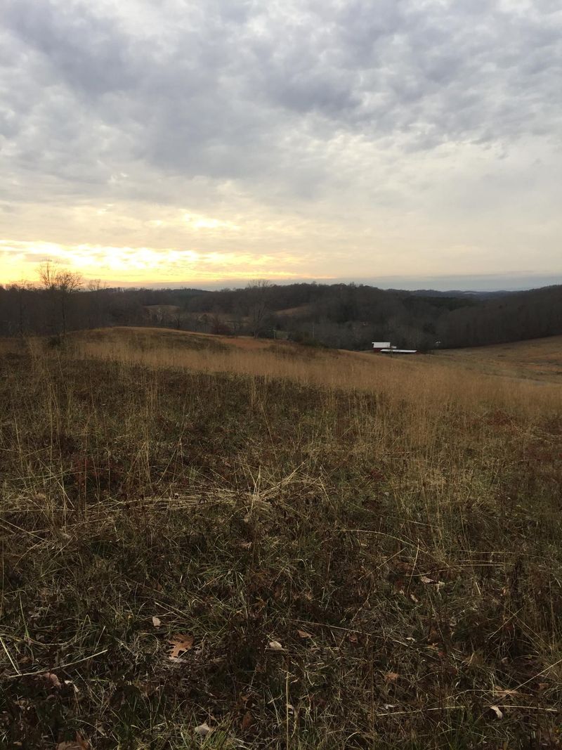 40 Ac Co Rd 282, Niota, TN 37826