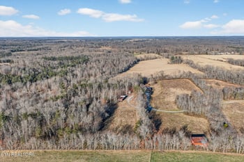 40 Diamond Padgett Ln, Monterey, TN 38574