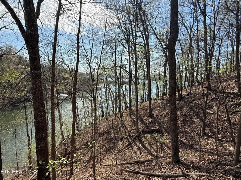 40 Eerie Point #40, Rockwood, TN 37854