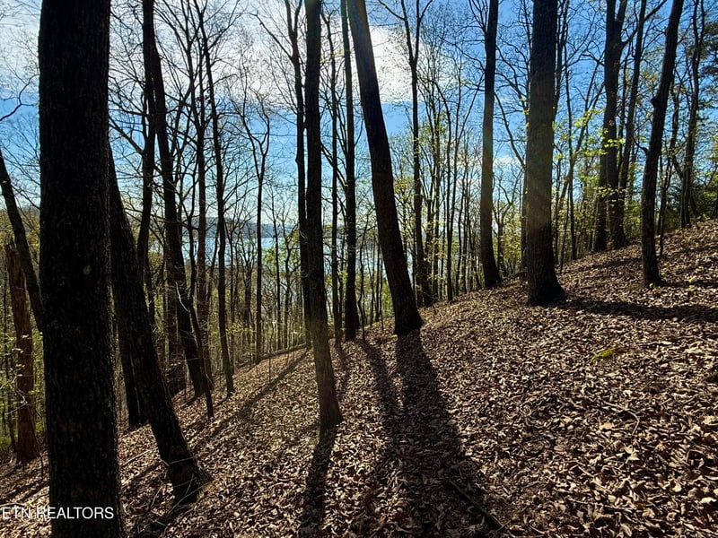 40 Eerie Point #40, Rockwood, TN 37854