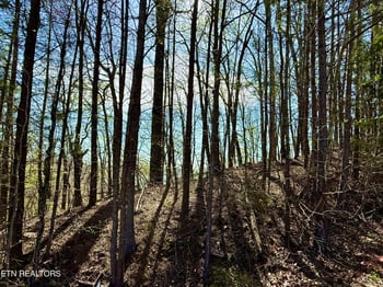 40 Eerie Point #40, Rockwood, TN 37854