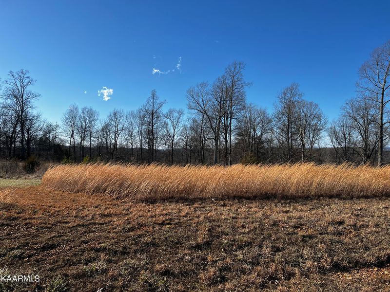 40 Melea Ln, Kingston, TN 37763