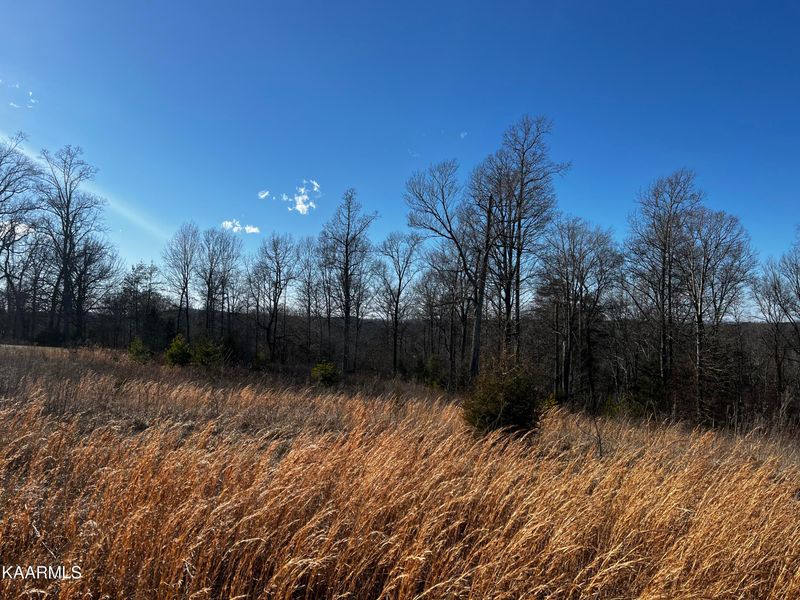 40 Melea Ln, Kingston, TN 37763