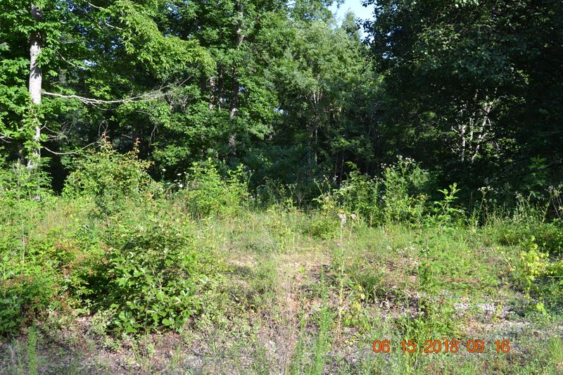400 Patchwork Pointe, Rutledge, TN 37861