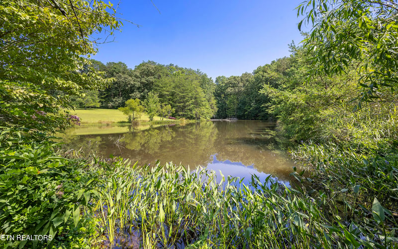 400 Rhonda Ln, Knoxville, TN 37920