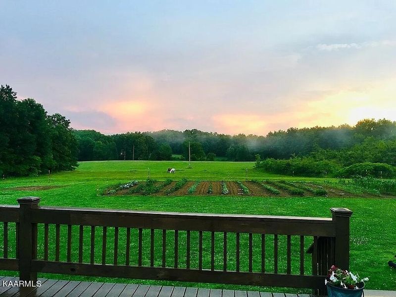 400 Rock Creek Rd, Deer Lodge, TN 37726