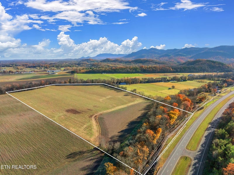 4019 E Lamar Alexander Pkwy, Walland, TN 37886