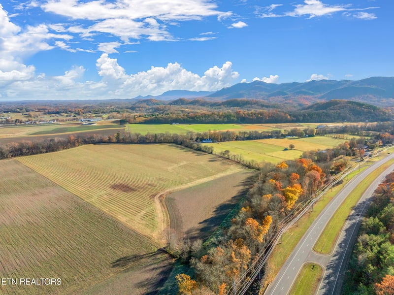 4019 E Lamar Alexander Pkwy, Walland, TN 37886