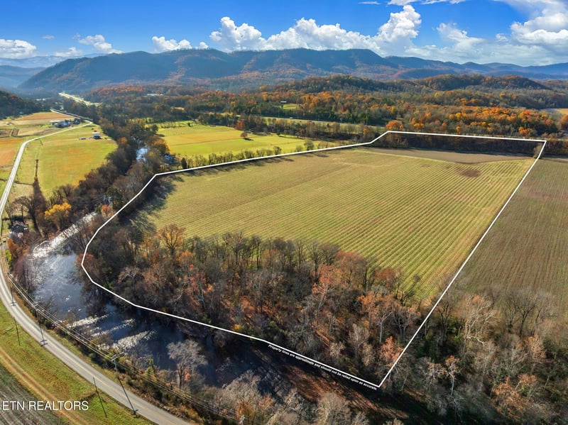 4019 E Lamar Alexander Pkwy, Walland, TN 37886