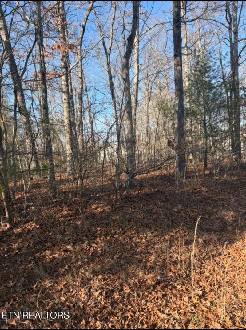 402 Acoma Dr, Crossville, TN 38572