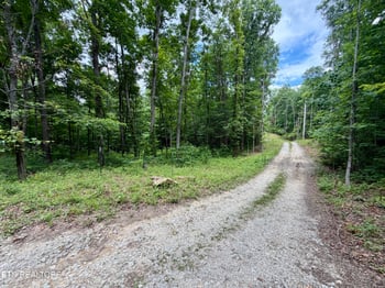 402 Paradise Ln, Deer Lodge, TN 37726
