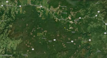 402 Paradise Ln, Deer Lodge, TN 37726