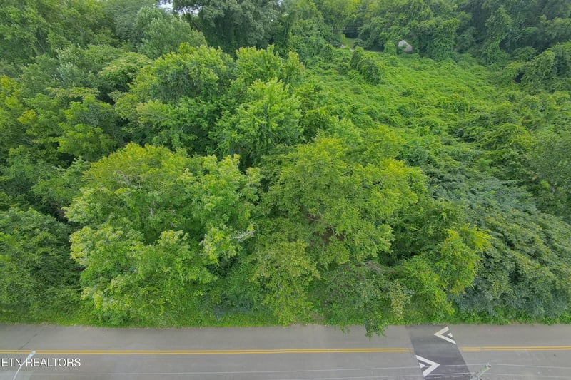 4020 Lilac Ave, Knoxville, TN 37914