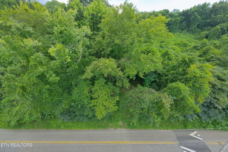 4020 Lilac Ave, Knoxville, TN 37914