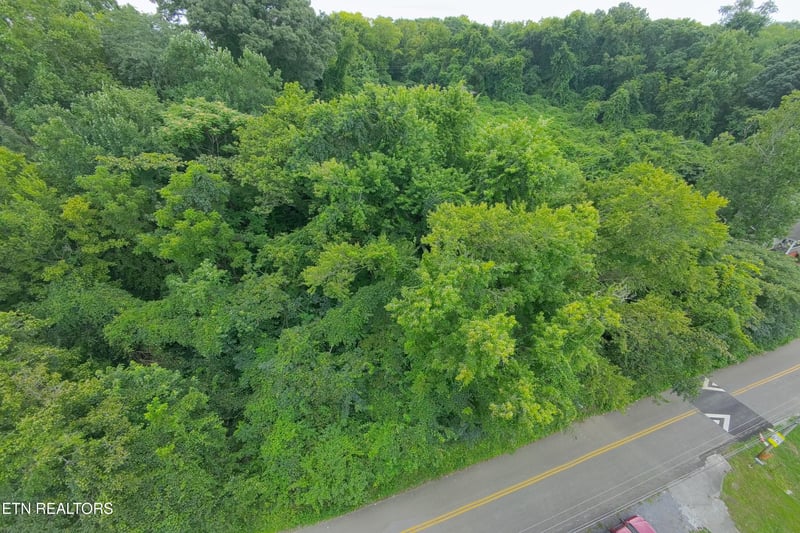 4020 Lilac Ave, Knoxville, TN 37914